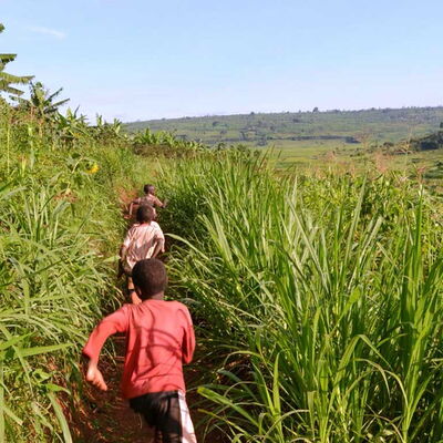 Kinder laufen auf einem schmalen Pfad durch Felder – ihr Aufwachsen in Ruanda wird durch sauberes Trinkwasser unbeschwerter.